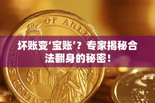 北京坏账变‘宝账’？专家揭秘合法翻身的秘密！