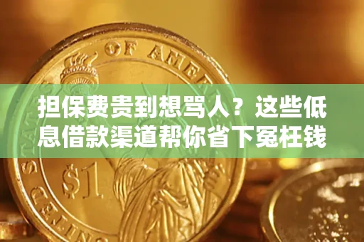 北京担保费贵到想骂人？这些低息借款渠道帮你省下冤枉钱