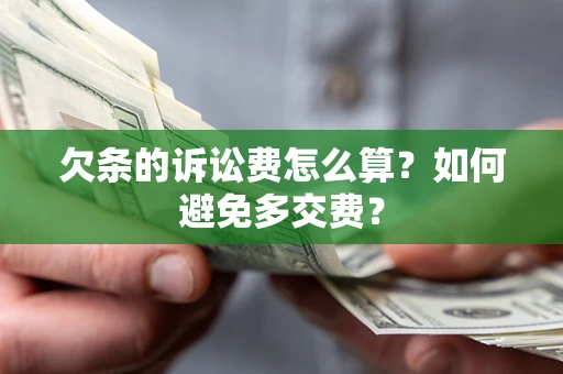 北京欠条的诉讼费怎么算？如何避免多交费？