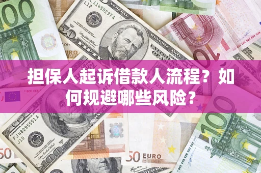 北京担保人起诉借款人流程？如何规避哪些风险？
