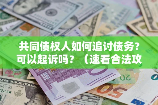 北京共同债权人如何追讨债务？可以起诉吗？（速看合法攻略）