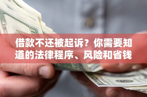 北京借款不还被起诉？你需要知道的法律程序、风险和省钱技巧
